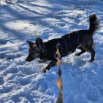 623814855 1294097729414705 6684562475816300242 n