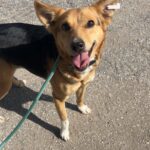 624108709 1292318299592648 1722217247858385214 n 1