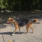 624483023 1292318472925964 910708479962184036 n