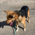 624486420 1292318912925920 3303546780715059736 n