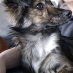 624611947 1294097392748072 6351873938628780717 n