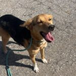 624843668 1292318162925995 3352560291420618906 n