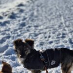 625205587 1294097926081352 8141202307302038603 n