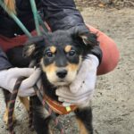 626909813 1297462232411588 658547099791598938 n