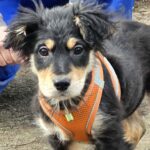 627678412 1297462192411592 6907198757934179671 n