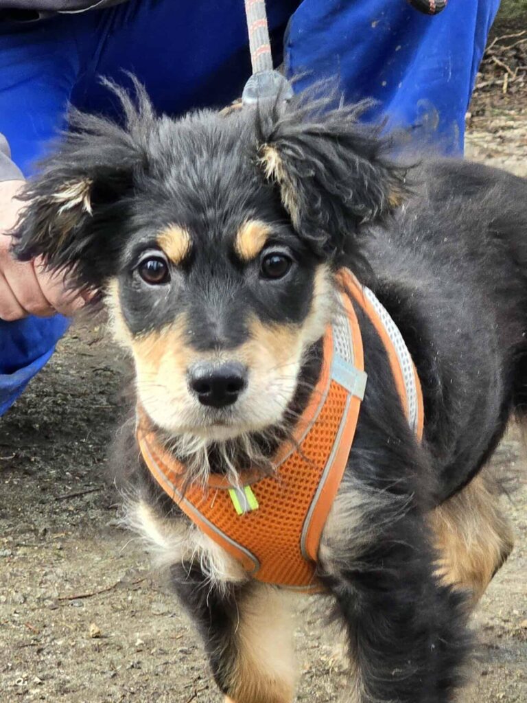 627678412 1297462192411592 6907198757934179671 n