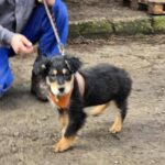 627680680 1297462295744915 1611579027099965243 n