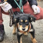 627819657 1297462329078245 3584072411399704533 n