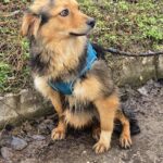 632369328 1304802761677535 5210222588489299265 n