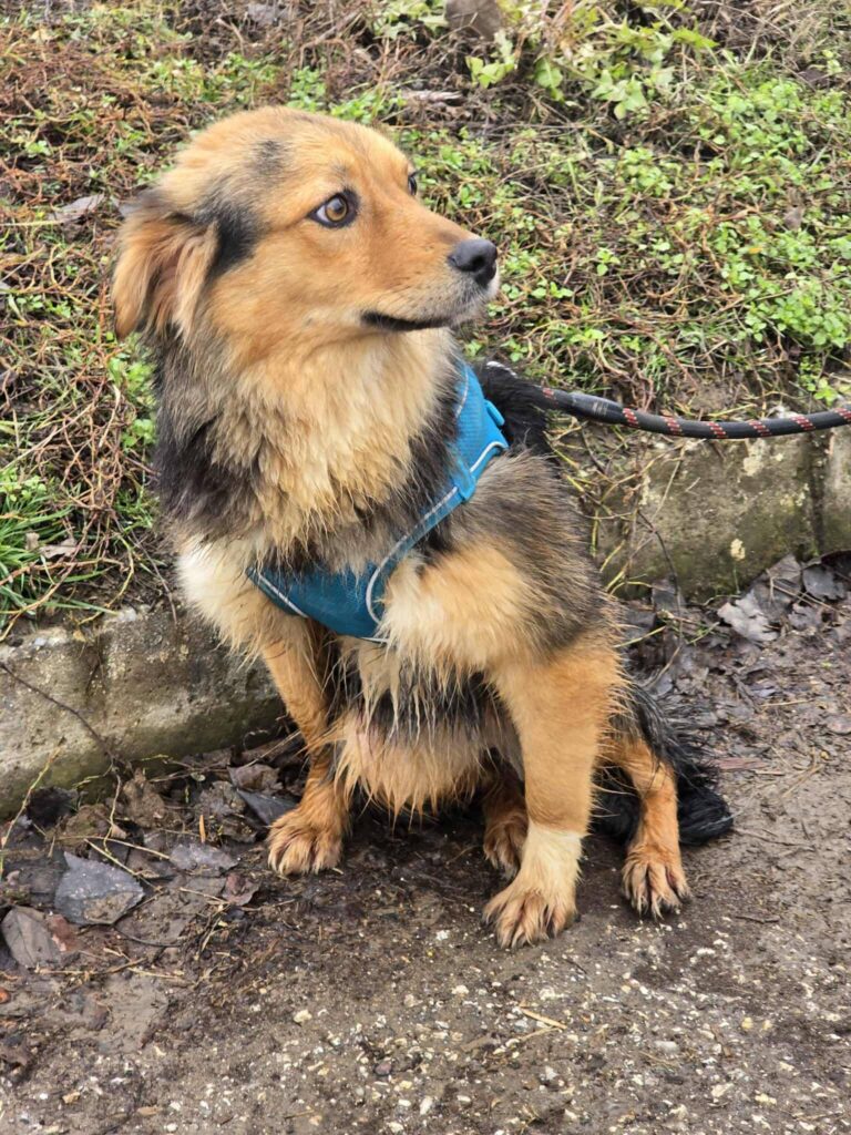 632369328 1304802761677535 5210222588489299265 n