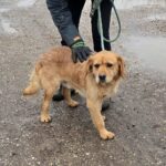 632698300 1304381215053023 7693808432238002254 n