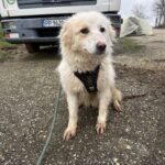 632969878 1304240195067125 2643005934095446514 n