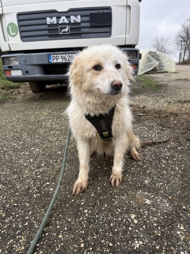 632969878 1304240195067125 2643005934095446514 n