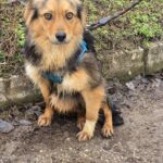 633110141 1304802511677560 5667686231885255708 n