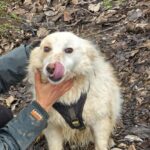 633581383 1304239871733824 6125804936550363996 n