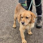 633723267 1304381078386370 2985443788906074101 n