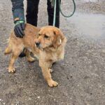 633725408 1304381171719694 7166368358181560221 n