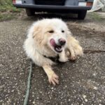 633776523 1304240225067122 8572202441058918396 n