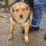 633852975 1304802421677569 1767788902426363903 n