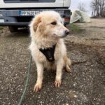 633871191 1304239681733843 6982713816451226595 n