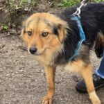 634035200 1304802721677539 4658267489830988961 n