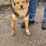 634086361 1304802588344219 7876144816492253853 n 1