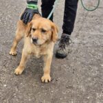 634105010 1304381561719655 7744733111424179878 n