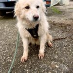 635570884 1304239465067198 4543490297665258281 n