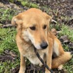 637781092 1311697907654687 2749163149478308688 n