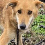 637868558 1311697844321360 181295845754984694 n