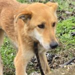 638321682 1311698087654669 3394722754845803035 n