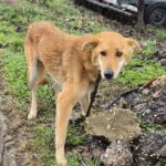 638791257 1311697877654690 950465901219041333 n