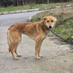 639764219 1311697744321370 8241165986029235709 n