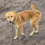 640932720 1311698050988006 7553432648916389193 n