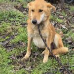 641508852 1311697784321366 7346926597727933706 n