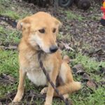 641599286 1311698000988011 7832479475183642783 n