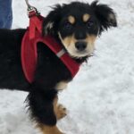 641628183 1316583263832818 1522217412935585472 n