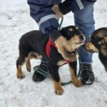 642352674 1316583267166151 2214167703652378571 n