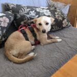 642819303 1317981050359706 626972100183609639 n