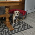 642859069 1317981177026360 2262500540518307350 n