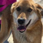 642885300 1318590976965380 6467818844564603783 n