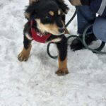 643318096 1316583453832799 8659267517384726155 n