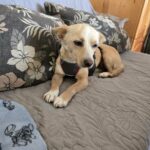 643353081 1317981123693032 8545498400367022754 n