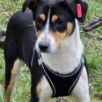 643446928 1318569970300814 5934103706819598987 n