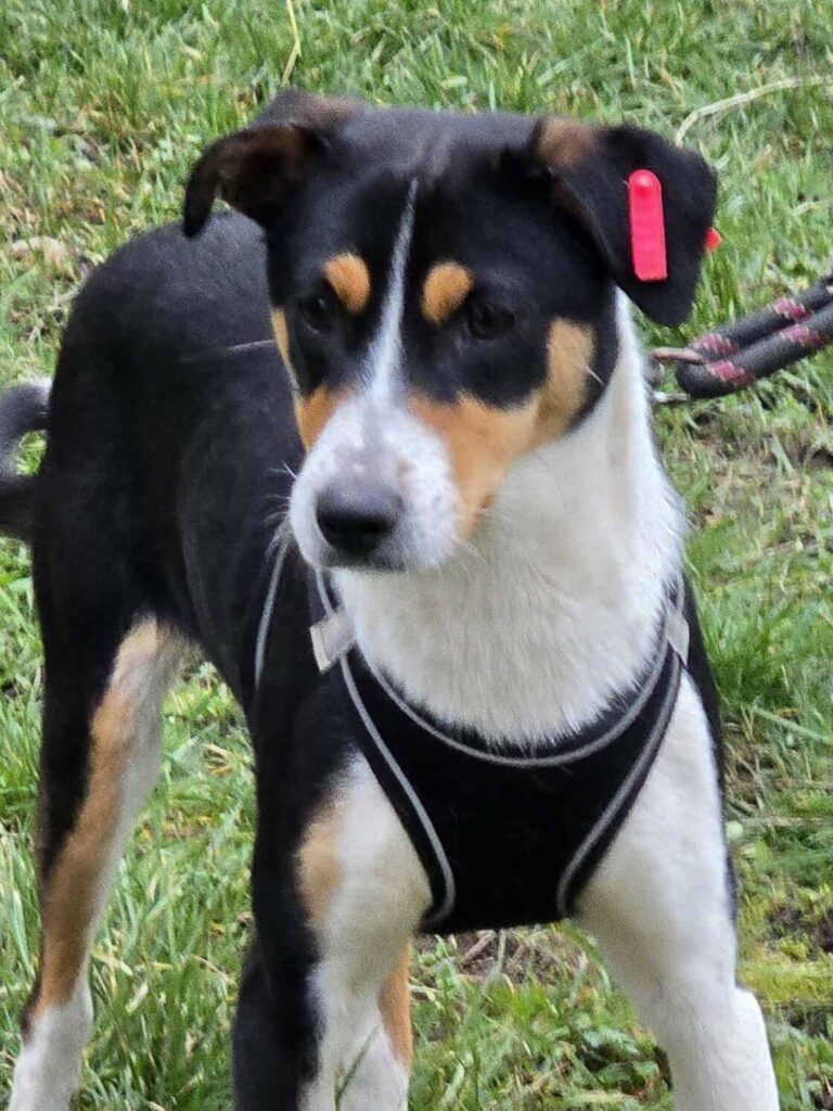 643446928 1318569970300814 5934103706819598987 n