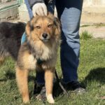 643492868 1317274170430394 6619187037637072943 n