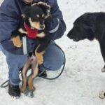 643499045 1316583347166143 4032040207034768 n