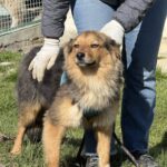 643845217 1317274177097060 657914363902471593 n