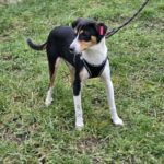 643919852 1318570090300802 1666767156493318230 n