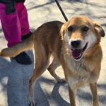 644162169 1318590946965383 438432671289211326 n